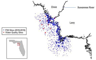 Exploring Impacts of River Discharge on Forage Fish and Predators Using Ecopath With Ecosim